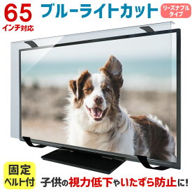 【全品ポイント10倍★3/4 20時〜3/11 01:59】ブルーライトカット 液晶テレビ保護パネル 65インチ 65型 固定ベルト付【3mm厚】【カット率47.9％】【液晶テレビ 保護パネル 保護フィルム 液晶保護パネル テレビ 保護 テレビカバー テレビガード】 WLP-65