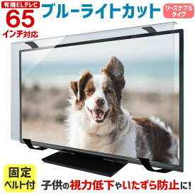 【全品ポイント10倍★3/4 20時〜3/11 01:59】ブルーライトカット 有機ELテレビ保護パネル 65インチ 65型 固定ベルト付【3mm厚】【カット率47.9％】【有機ELテレビ 液晶テレビ 保護パネル 保護フィルム テレビ 保護 テレビカバー テレビガード】 WLP-65-EL