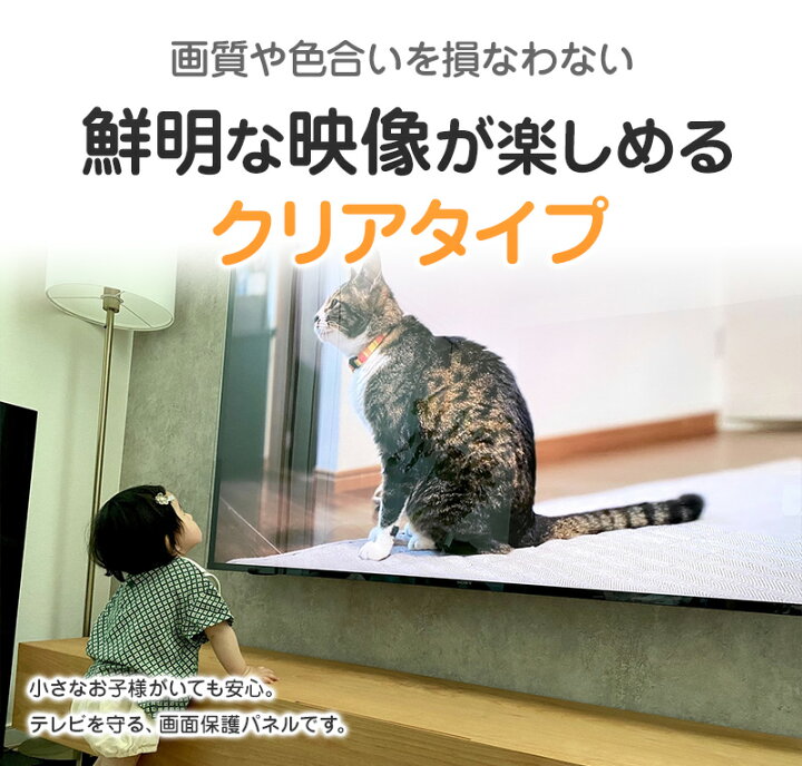 楽天市場】液晶テレビ保護パネル 49インチ 49型 クリアパネル 固定 
