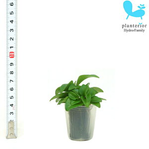 ϗtA nChJ`[ c yy~A fhtB v`TCY 1