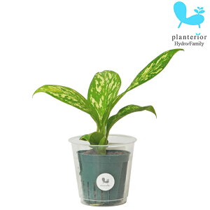 ϗtA nChJ`[ c fBtFoLA zCgGgi MTCY 6pC 2