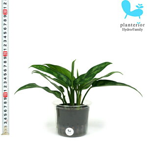 ϗtA nChJ`[ c AOIl} }A LTCY 9pC 3