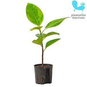 ϗtA nChJ`[ c tBJX AeV} 13pC