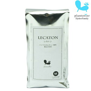 Planterior Jg  500ml ϗtA nChJ`[ MTCY  nCh{[