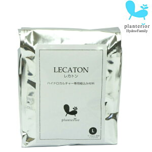 Planterior Jg  1L ϗtA nChJ`[ LTCY  nCh{[