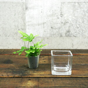 yz KX ubNMi60j nChJ`[ 