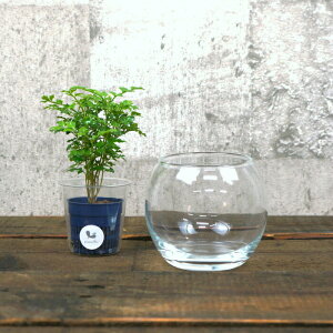 yz KX ou{[SSi100j nChJ`[ 