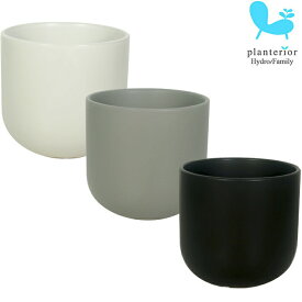 【器】 モノトーン130 観葉植物 ハイドロカルチャー 向き