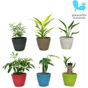 ϗtA ypL VFt TXxA قA낢Iׂz Xg[Ebh|bgM iʌvtj AZbg nChJ`[