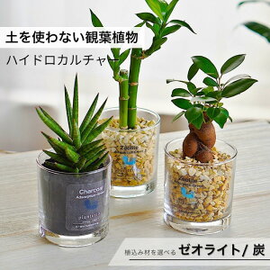 yYnz ϗtA nChJ`[ pL KW} TXxA e[uV قAIׂ ~jϗt Ah\[vV O[M [ICg Y A AZbg