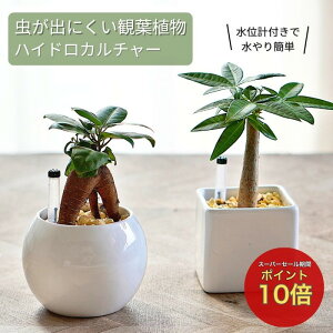 ϗtA ypL KW} TXxA |gX A}eBJXAAIׂz nChJ`[ ~jϗt o[  V_[ 픫 [ICg A A Zbg