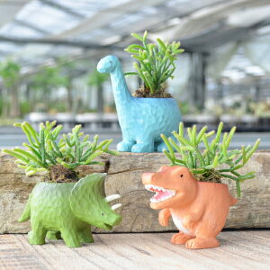 ϗtA Iׂ vTX fBXLfBA   AZbg nChJ`[ ~jϗt 