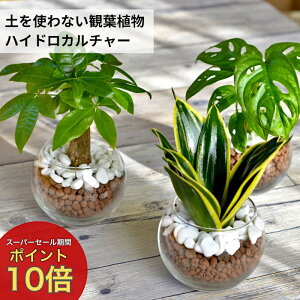 |Cg10{yYnz ϗtA nChJ`[ AIׂ pL KW} TXxA ق Vv{[ Xg[ Jg A nCh{[ k͔| ~jϗt