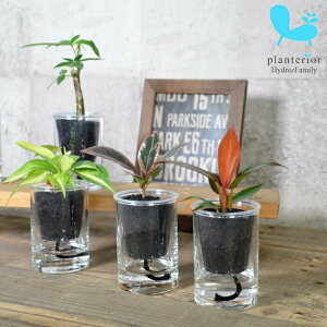 ϗtA y pL TXxA tBfh ق 낢Iׂz XgO ubNWW[ iJ[Thj AZbg nChJ`[