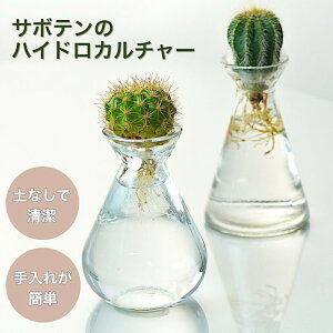 T{e ANAJN^Xmini ~j nChJ`[ k͔| A KX e  CeA ϗtA  JN^X