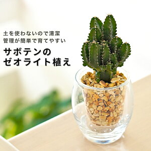 T{e yZEX E`T{e nNE} }OjtBJX AIׂzXgOJN^X tBY [ICg J[Th A A ʋ { KX