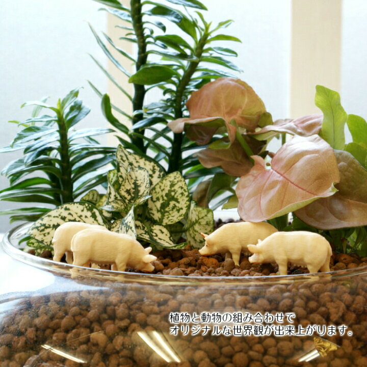 新作グッ ミニ ヒツジ ハイドロカルチャー 観葉植物にピッタリ 動物フィギュア Supplystudies Com