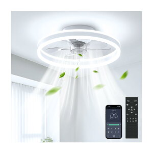 �V�[�����O�t�@�����C�g 8-10�� 50cm ���t��] ��g�[����UP �V�[�����O�t�@�� coizabera �ȃG�l LED�V�[�����O���C�g �������F�E���ʒ��� ��@ ��铔 �ő�6400lm �h�炬�h�~ DC���[�^�[ �������[