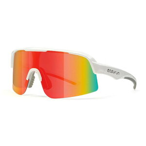 ER00 L`M ΌV[hTOX YAނ ] 싅 TCNO r[`o[