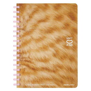 RN \tgO m[g 10NLO ՂɂՂɎq˂ A6 5mm