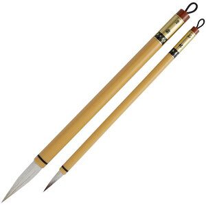 M K |M 3 M 7 וM {Zbg w SҌł wZʗp