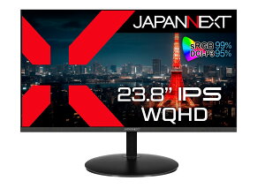JAPANNEXT 23.8�C���` ���j�^�[ WQHD 2560x1440�𑜓x IPS �f�B�X�v���C (HDMI/DisplayPort/VESA�Ή�/�u���[���C�g�J�b�g) JN-IPS2380FLWQHD-N