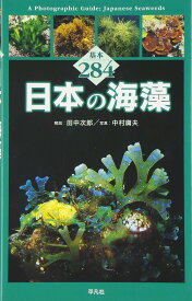 日本の海藻: 基本284
