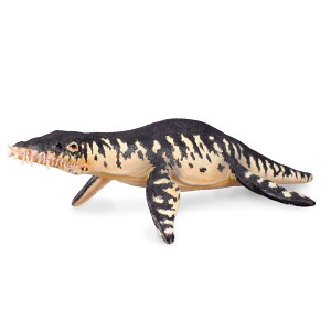 Collecta ���I�v���E���h��