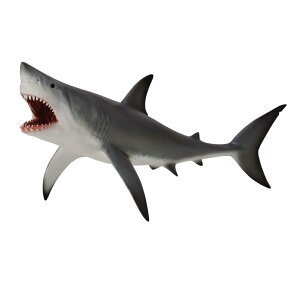 COLLECTA �z�z�W���U�� 88729