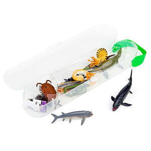 COLLECTA �����t�B�M���A�Z�b�g CollectA box �~�j�Ñ㐶�� A1104