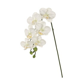 MAGIQ 東京堂 正月 上質な 造花 ファレノミリー