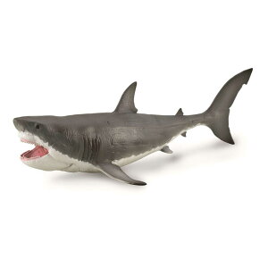 COLLECTA �����t�B�M���A �J���J���N���X�E���K���h�� 88887
