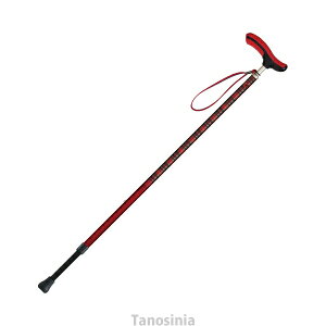 lINVJ LkXebL pi  SG}[N QObv _炩 ₷ ɂ |ɂ