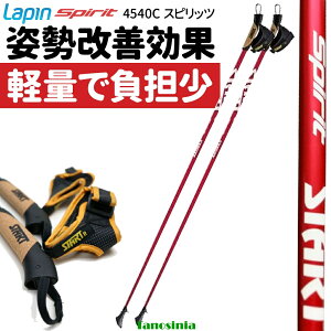 mfBbNEH[LO|[ Œ J[{ y Lapin s Xsbc bh AObVu^Cv 4540C 