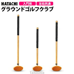 OEhStpi OEhSt OhSt  p Nu XeBbN ŎҗpNu BH2152 n^` HATACHI ss-gg-ha