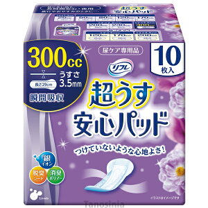 TtSpbh300ccɑS 10iܔj pi ^ AR L 22j