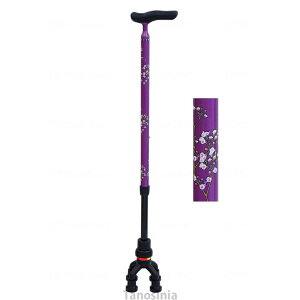 l_҂肭 81MC-F9 쏊   XebL s⏕ sT|[g pi  N y J[{ J[{XebL VjA Vl