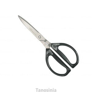 T[WJe[vEz؂͂ 52002 ѐn