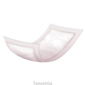 G ʋz܂Ƀsb^V[g45 763298 剤