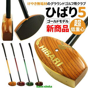 グランドゴルフ スティック」の人気商品一覧・価格比較 - 価格.com