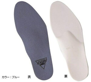 DSIS\{fBij E1Zbg 񕜕⏕ sT|[g oX y {