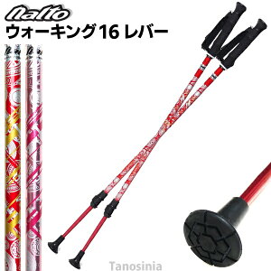    2{ Lk nr EH[LO|[ iCgH| EH[LO16o[Mi100`120cmj fBtFVu^Cv NWP-2161601 jp { 2{Zbg E1g  ؂₩ 