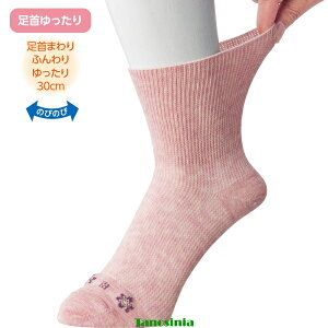 のびのびソックス(2足組)