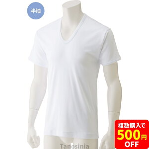 UVc(2g) V[Y  ^b`e[v {^  pCi[ jO OLt R hL