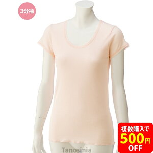 3Vc(2g) V[Y Ci[ fB[X @ p f@ E₷  I[V[Y 