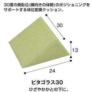 ̈ʕϊNbV s^SX30 30cm pi