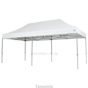 E-ZUP DX�A���~ 3.0×6.0m DXA60-BL �u���[ �C�[�W�[�A�b�v�i�����j 4560247206529 /k23-mk