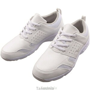 �~�Y�m AIRFORT AF�i�G�A�t�H�[�gAF�j F1GB2000 �j�����p �R�� �h�L ���O ���� �C�Ђ��S�� ���f�B�J�� �V���[�Y �X�j�[�J�[ K22-1