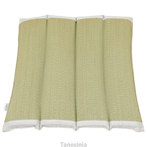 �Ԉ֎q�p �w�� �N�b�V���� �Ԃ��� �ԃC�X �����ɂ��� �ʋC�� ���� ���L �w��������ƃN�b�V���� 7713209 �C�P�q�R�E�R�[�|���[�V���� k24-1