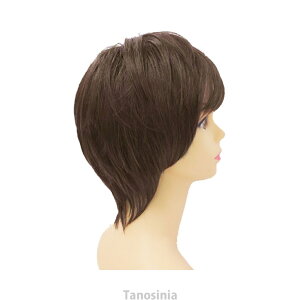 EBbO V[g XqEBbO ϔM  ×p RXv  킢   ȒP XqEBbObNX V[g ϔM vV k24-1